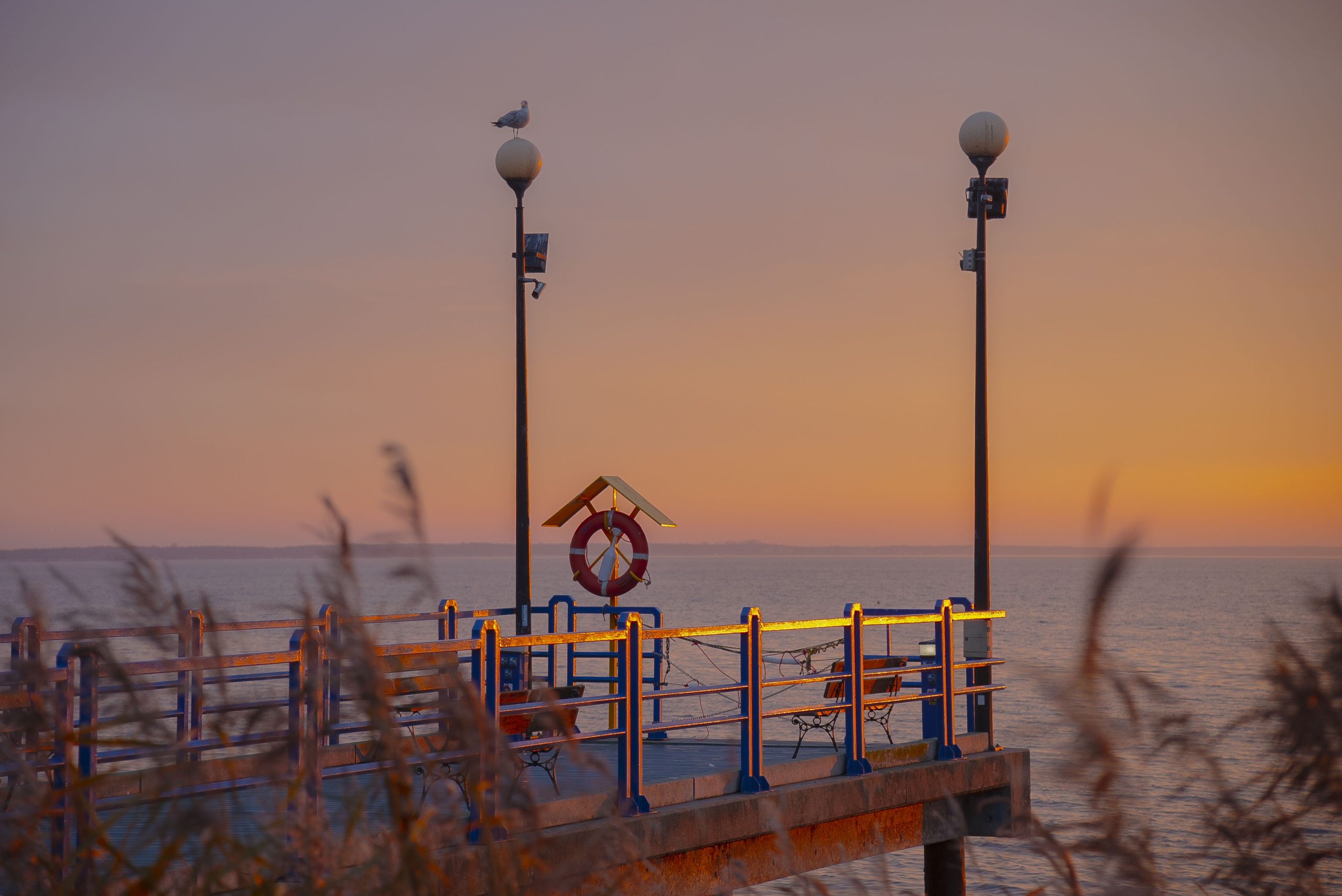 Fotografia autorska